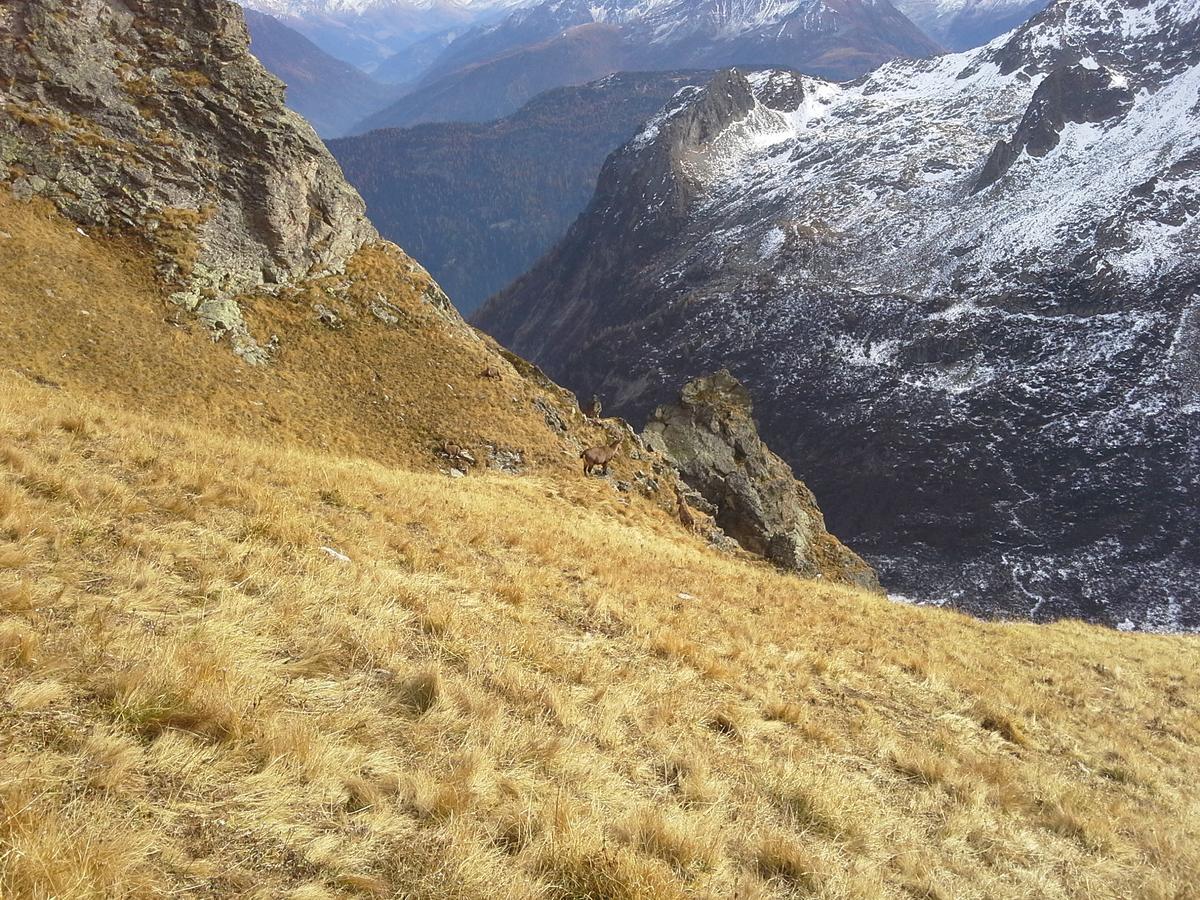 Lieu Secret Dans Les Alpes Suisses Villa Le Tretien Bagian luar foto