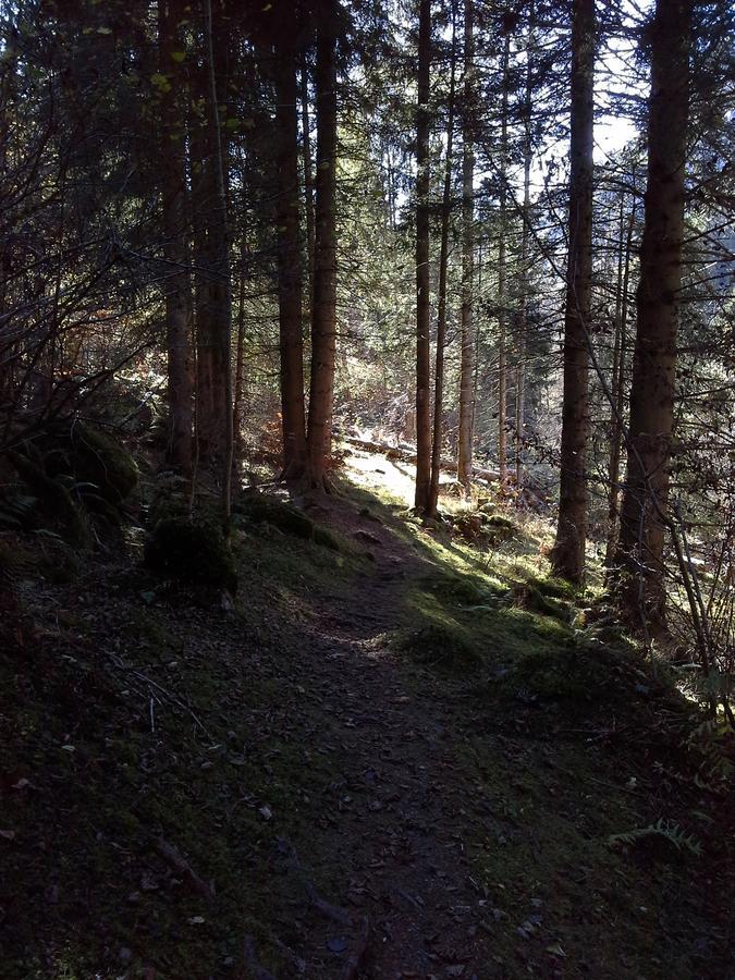 Lieu Secret Dans Les Alpes Suisses Villa Le Tretien Bagian luar foto